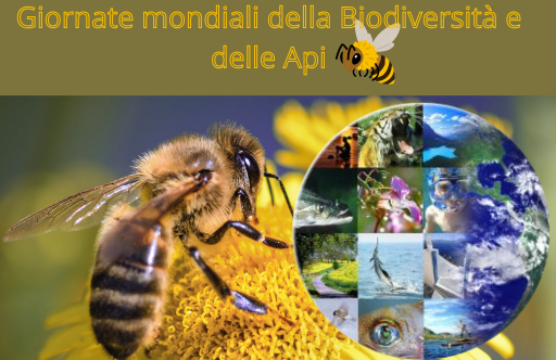 articolo biodiversità.png